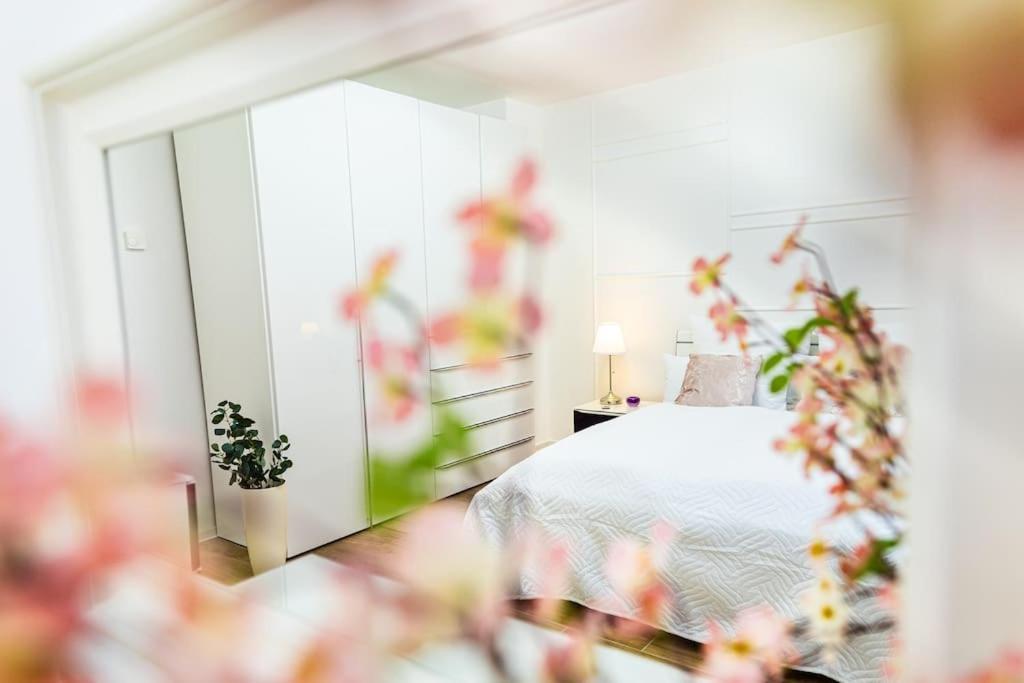 Apartment Charmante In Koblenzer Innenstadt *